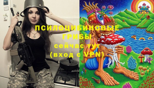 хмурый Богданович