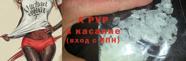 хмурый Богданович
