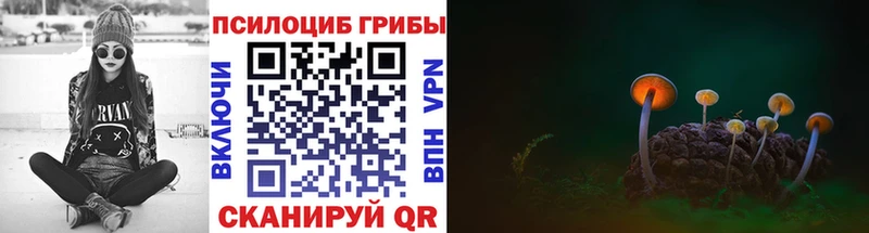 Галлюциногенные грибы Psilocybine cubensis  где купить наркоту  MEGA как войти  Колпашево 
